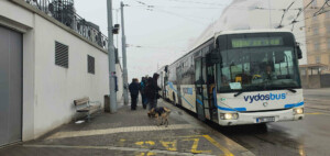 Náhradní autobusová doprava v Brně na Dolní nádraží