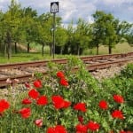 Velké Pavlovice Naučná stezska Zastavení v kraji vína a meruněk