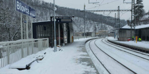 Zastávka Bílovice nad Svitavou, nástupiště u 2. koleje