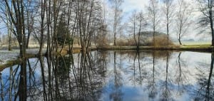 Rybník Hlína