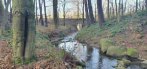 Olešnický potok