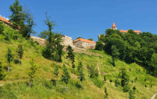 Vrchnostenské okrasné zahrady na hradě Pernštejn