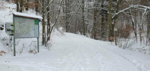 Babice nad Svitavou, přístup na nástupiště u koleje 2