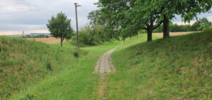 Cesta na vlakovou zastávku Hoštice-Heroltice