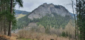 Kalte Rinne Viaduct