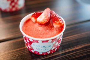 Jarní nabídka 2025 Leo Express - Jahodový sorbet