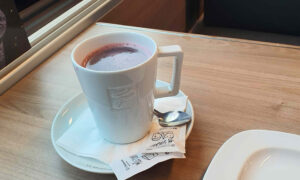 Jídelní vůz JLV na expresu IC 510 Ostravan