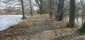 Cesta mezi Sázavou a rybníkem