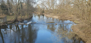 Řeka Sázava v Přibyslavi