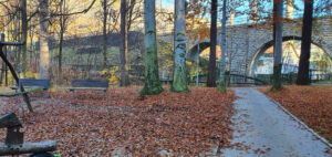 Riedlova vila v Desné a park