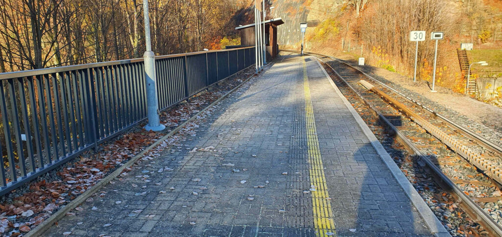 Vlaková zastávka Desná-Riedlova vila