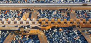 Ozubnicová železnice u zastávky Desná-Riedlova vila